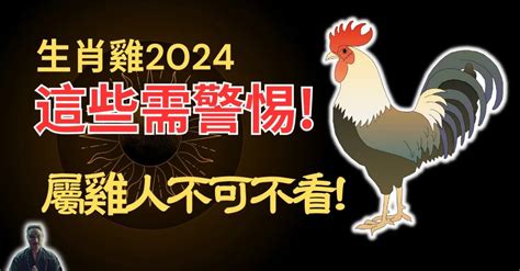 1993屬雞2024運勢|1993年屬雞人2024年運勢及運程男，93年31歲生肖雞2024年全年。